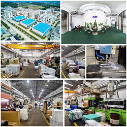 Trung Quốc Shenzhen Flyon Sports  Co., Ltd. Hồ sơ công ty