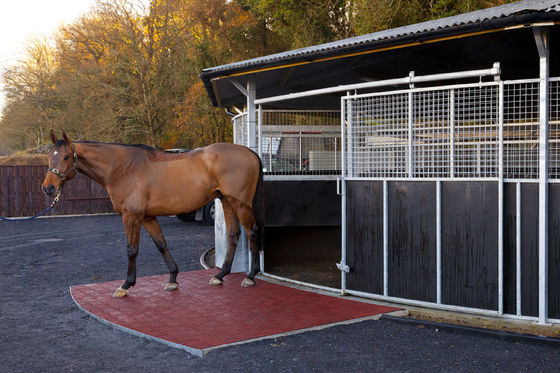 Giá tốt Các mẫu miễn phí cho bảo vệ bề mặt trực tuyến
