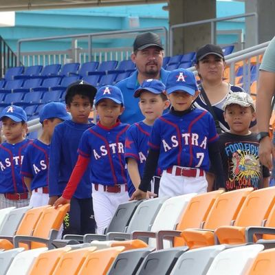 Ghế ngồi sân vận động HDPE nhựa với tính năng chống lão hóa chống tia cực tím và chống cháy cho sân vận động và đấu trường