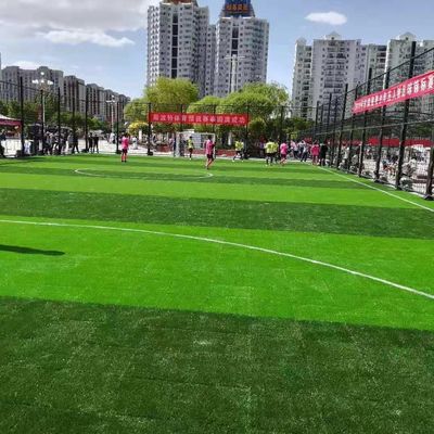 Giá tốt Chất liệu PE PP Cỏ nhân tạo tổng hợp cho trường đào tạo bóng đá trực tuyến