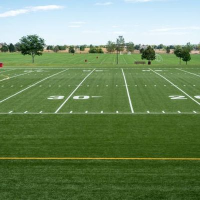 Giá tốt Cỏ nhân tạo bóng đá 25m × 4m mỗi cuộn, Cỏ tổng hợp sân bóng đá màu xanh đậm trực tuyến