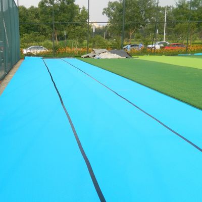 Giá tốt Tấm lót chống sốc bọt mười hai lỗ một lỗ cho cỏ nhân tạo ODM trực tuyến