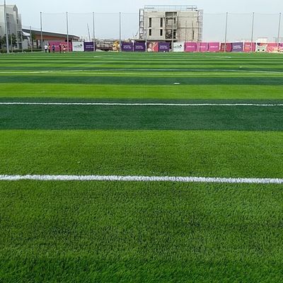 Giá tốt Làm đẹp sân được dễ dàng với vật liệu cỏ nhân tạo PE PP trực tuyến