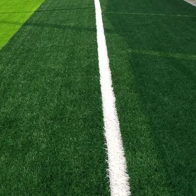 Giá tốt PE PP Cỏ nhân tạo Polyethylene và polypropylene sợi 30 mm Cỏ đống chiều cao trực tuyến