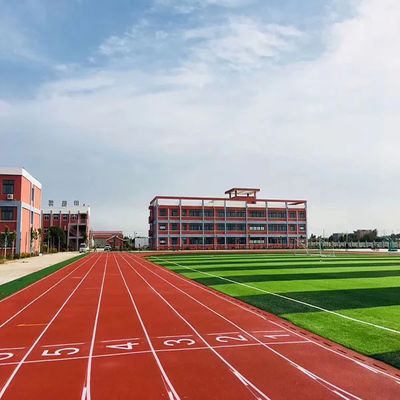 Giá tốt Đường chạy thể thao chống mờ tùy chỉnh - Độ bền chống thời tiết 6Mm trực tuyến