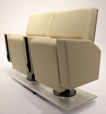 Giá tốt FY962 Chế độ sắt hạng nặng ghế sân khấu với ghế pha tăng gấp đôi và tay cầm cốc gấp trực tuyến