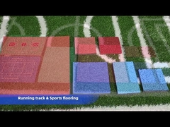 đường chạy & sàn thể thao